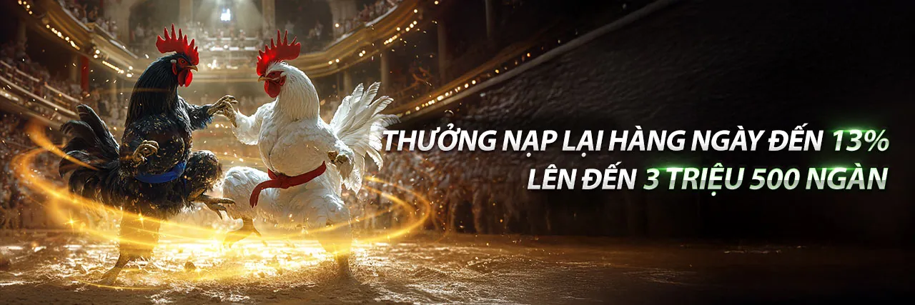 Hình ảnh chính về cá cược thể thao 8kbetcc với trận đấu bóng đá sôi động và ánh đèn sân vận động