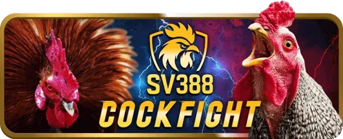 Ưu đãi tiền thưởng VIP